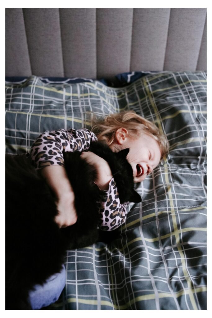 A happy owner cuddling their cat, symbolizing the safe and loving relationship between humans and cats.