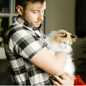 A reassuring picture of a person gently petting a cat, emphasizing that casual contact like petting is safe.